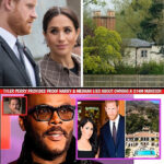 “The Tapes Are Real”: Prince Harry FLIES to UK in Panic After Tyler Perry Releases Explosive Audio That Could Destroy Everything