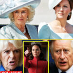 The Special Mental Technique Kate Middleton Used While Pregnant… And Again To Fight Cancer /dn