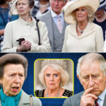 FANS THRILLED! Princess Catherine Set To Replace Queen Camilla After the King’ Unexpected /dn