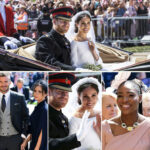 Sonia wept at her own wedding, marrying a wealthy old man to save her family. On their wedding night, he went to the bathroom and, when he came out, she almost fainted…