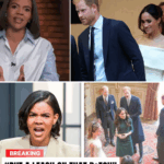 Comedian Colin Jost Obliterates Meghan Markle Over Leaked Yacht Girl Photos — Duchess Said to Be ‘Furious and Humiliated’