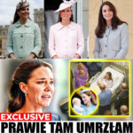 After 2 Years of Gathering Evidence, Princess Anne Releases Paternity Test Results of Harry and Archie: “The Long-Standing Rumor Is True, and the Results Are…”